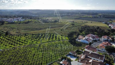 /international/pt/gaeiras-leiria-310106068361/