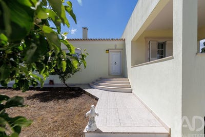 /international/pt/santarem-santarem-310101969459/