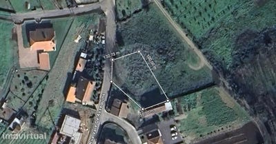 /international/pt/valongo-do-vouga-aveiro-310096375946/