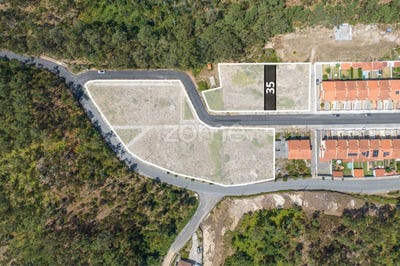 /international/pt/oliveira-de-azemeis-aveiro-310101878864/