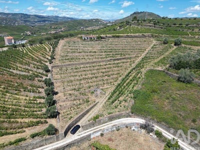 /international/pt/vila-real-vila-real-120086732523/