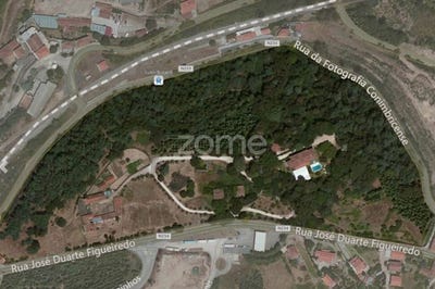 /international/pt/mealhada-aveiro-120076670190/