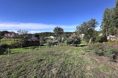 /international/pt/figueiro-dos-vinhos-leiria-310104231669/