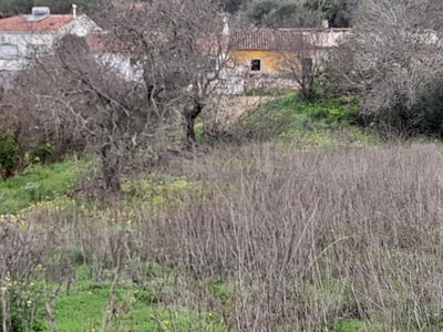 /international/pt/silves-faro-310101416930/?lang=it