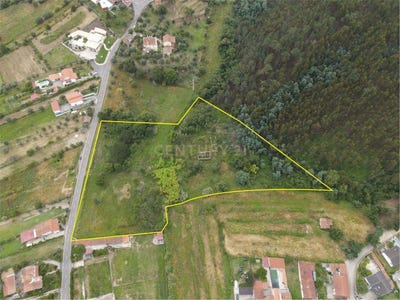 /international/pt/rua-da-qt-ª-do-loureiro-40-3350-vila-nova-de-poiares-portugal-poiares-santo-andre-coimbra-310108482791/