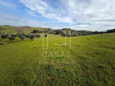/international/pt/vila-ruiva-beja-310102041622/