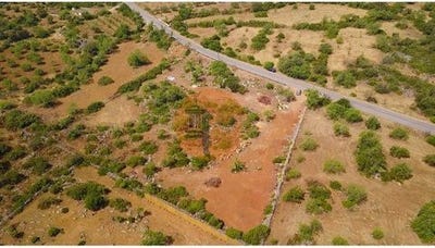 /international/pt/tavira-faro-310101710633/