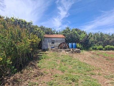 /international/pt/vila-do-bispo-faro-310108053811/