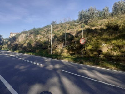 /international/pt/varzea-castelo-branco-310100665794/