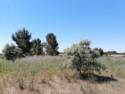 /international/pt/montijo-setubal-municipality-120094740722/