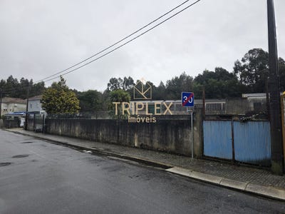 /international/pt/maia-porto-310108244916/
