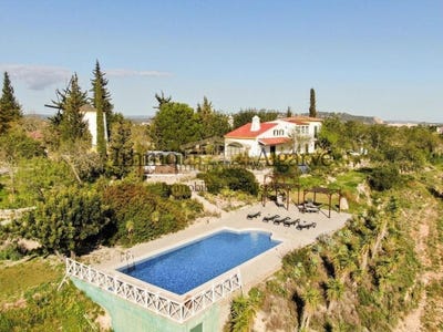 /international/pt/boliqueime-madeira-310098122819/?lang=zh-tw