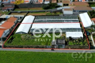 /international/pt/arrifes-azores-310099916725/