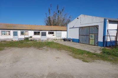 /international/pt/alcacer-do-sal-setubal-municipality-310100934546/