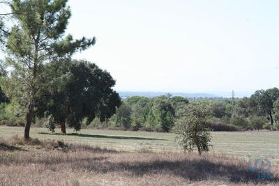 /international/pt/grandola-e-santa-margarida-da-serra-setubal-municipality-310101188512/