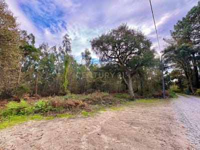 /international/pt/travessa-de-pinoucos-areias-setubal-municipality-310096250765/