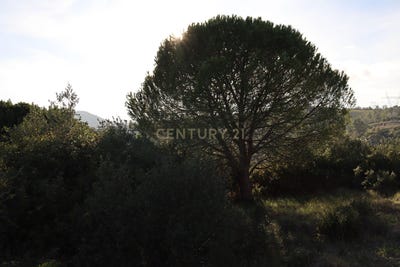 /international/pt/bucelas-lisbon-310095278639/