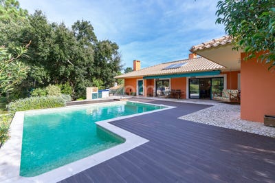 /international/pt/sesimbra-setubal-municipality-310106572136/