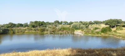 /international/pt/alagoa-portalegre-portalegre-310100638276/