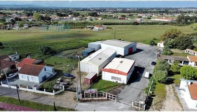 /international/pt/montijo-setubal-municipality-310102809625/