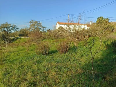 /international/pt/vila-ca-porto-310100662840/