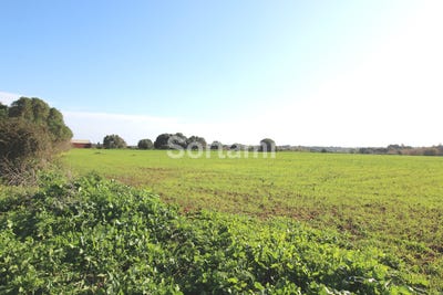 /international/pt/loule-faro-310107215977/