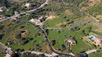 /international/pt/faro-albufeira-guia-portugal-albufeira-faro-310101877078/