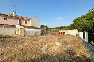 /international/pt/montemor-o-velho-coimbra-310094806903/