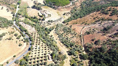 /international/pt/sao-salvador-e-santa-maria-odemira-beja-310102640547/