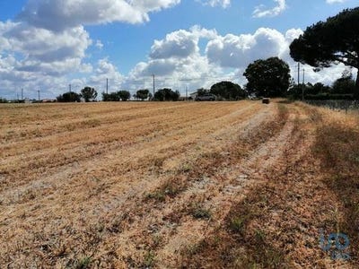 /international/pt/montijo-setubal-municipality-120094741410/