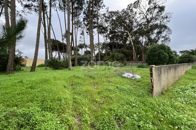 /international/pt/sintra-lisbon-120082193395/
