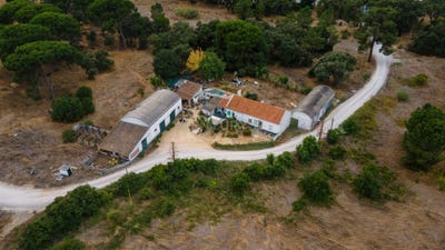 /international/pt/monte-idalecio-da-silva-batudes-palmela-portugal-palmela-setubal-municipality-310108591689/