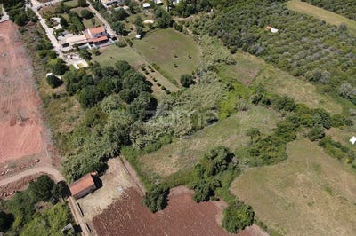 /international/pt/silves-faro-310108321481/