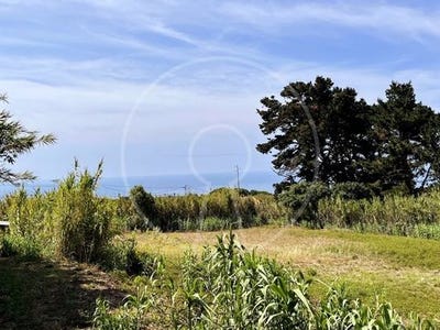 /international/pt/azoia-sintra-lisbon-310101384767/