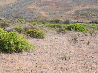 /international/pt/vila-do-bispo-faro-120086463282/
