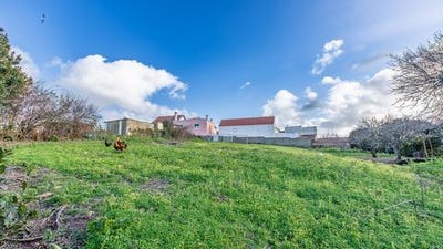 /international/pt/mafra-lisbon-310105946623/