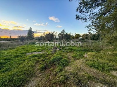 /international/pt/silves-faro-310104064562/