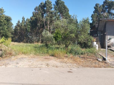 /international/pt/requeixo-vila-real-310101281537/