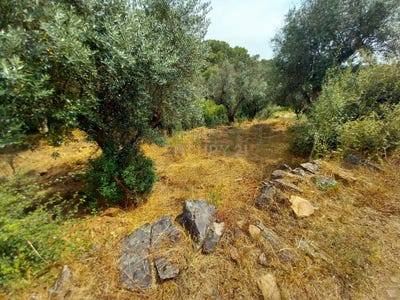 /international/pt/r-nova-15-6000-630-portugal-salgueiro-do-campo-castelo-branco-310105231075/
