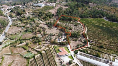 /international/pt/viseu-viseu-310102962448/