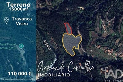 /international/pt/viseu-viseu-310106390796/