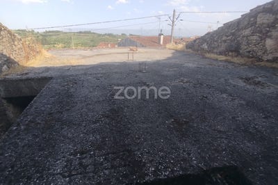 /international/pt/mangualde-viseu-310100542052/