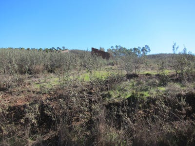 /international/pt/canafechal-odiaxere-mexilhoeira-grande-portugal-mexilhoeira-grande-faro-310107560820/
