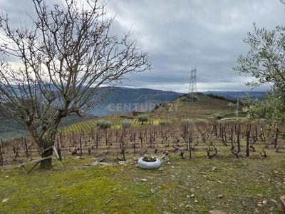 /international/pt/5g3c-83-sao-joao-da-pesqueira-portugal-ervedosa-do-douro-viseu-310105172742/