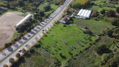 /international/pt/quinta-dos-areais-viseu-viseu-120091021253/