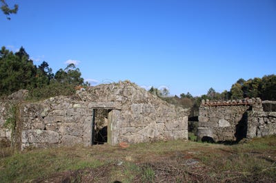 /international/pt/mangualde-viseu-310098533210/