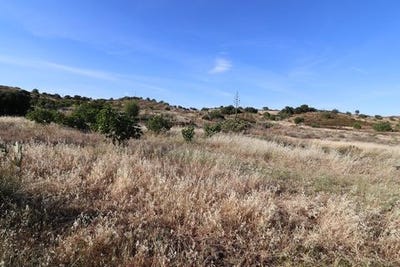 /international/pt/castro-marim-faro-120086467684/