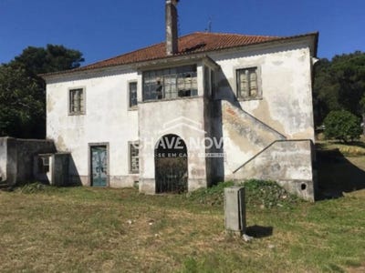 /international/pt/oeiras-e-sao-juliao-da-barra-lisbon-310107979690/