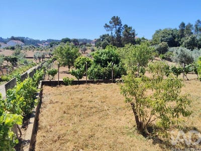 /international/pt/castelo-branco-braganca-310100786760/