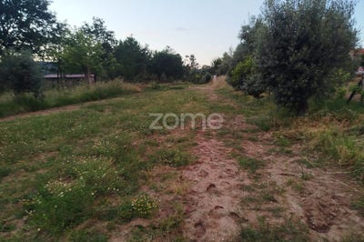 /international/pt/mangualde-viseu-310108209462/